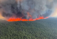 Situasi bencana kebakaran hutan yang melanda beberapa wilayah di Kanada, termasuk Yellowknife dan Kelowna.