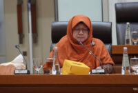 Anggota Komisi XI DPR RI dari Fraksi PKS, Anis Byarwati.