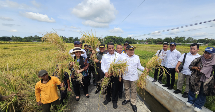 Ketua Komisi IV DPR RI, Siti Hediati Hariyadi atau yang akrab disapa Titiek Soeharto saat meninjau jalannya panen raya bersama Mentan, Andi Amran Sulaiman, di Kabupaten Bantul, Rabu (15/1/2025).