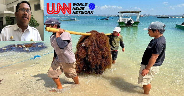 Teluk Ekas di Kecamatan Jerowaru, Kabupaten Lotim, Provinsi NTB, sebagai lokasi ITSRC—pusat riset rumput laut tropis berskala internasional.
