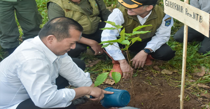 Gubernur NTB, Lalu Muhamad Iqbal saat menanam pohon di sela-sela kegiatan silaturahmi bersama personel Balai KPH Wilayah I Dinas Lingkungan Hidup dan Kehutanan Provinsi NTB di kawasan wisata alam Air Terjun Benang Kelambu, Desa Aik Berik, Kecamatan Batukliang Utara (BKU), Kabupaten Lombok Tengah, Rabu (4/3/2026).